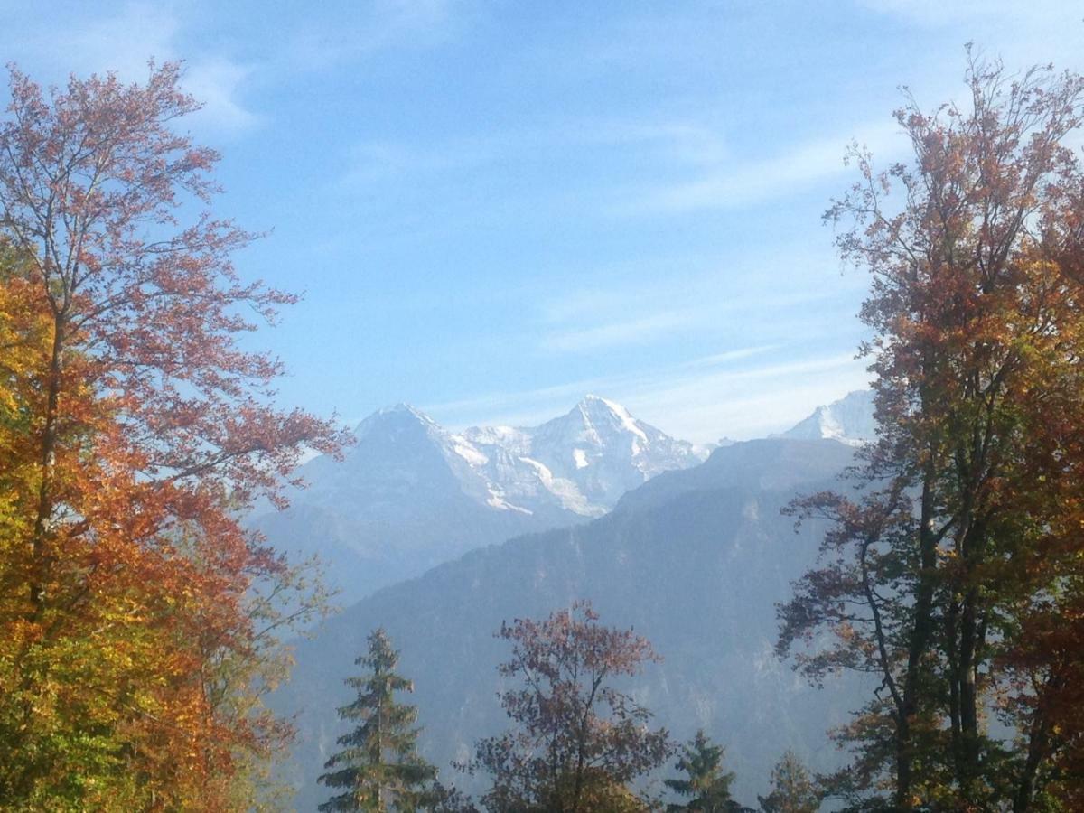 App. Seeblick Top Of Interlaken Beatenberg Dış mekan fotoğraf