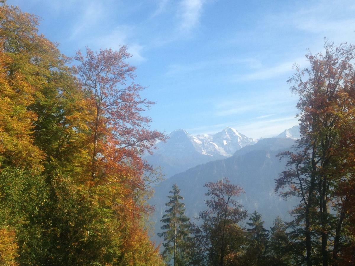 App. Seeblick Top Of Interlaken Beatenberg Dış mekan fotoğraf