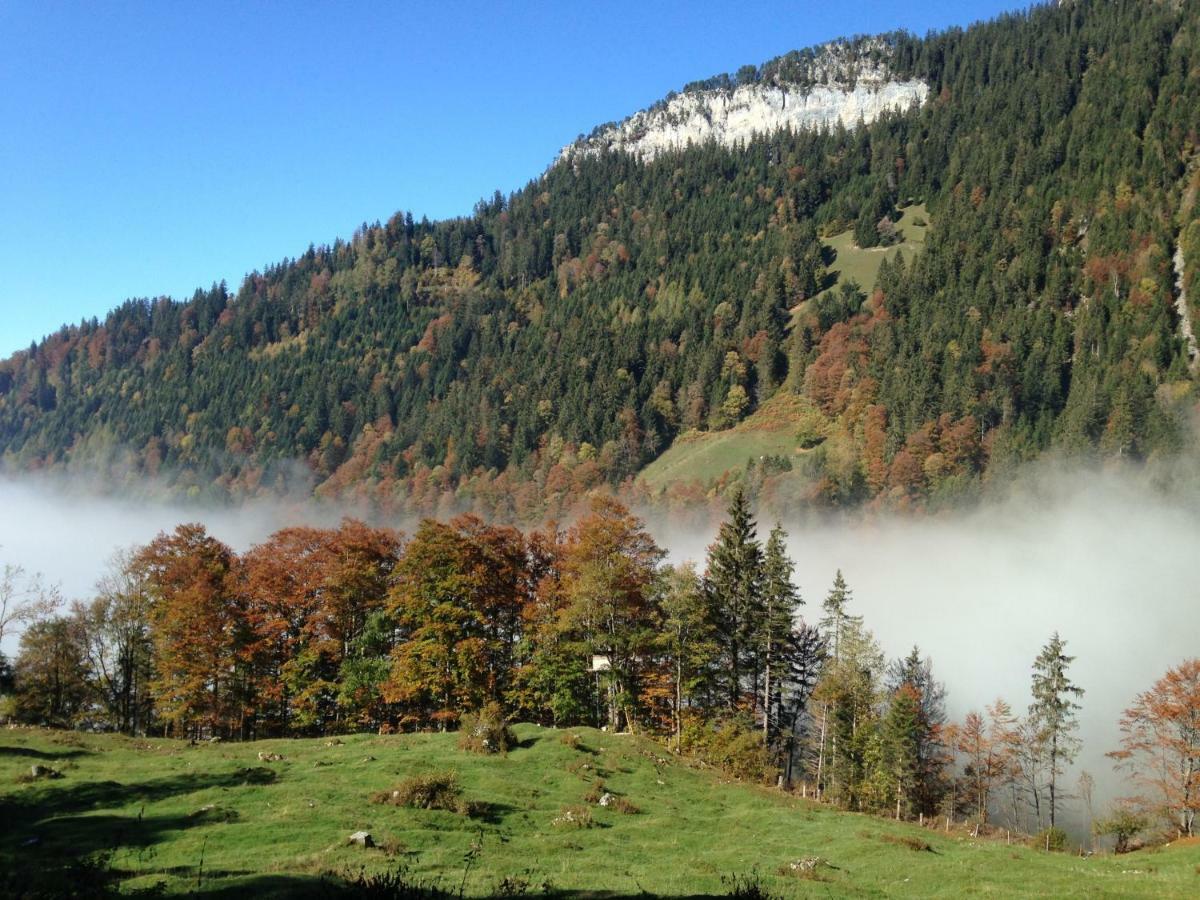 App. Seeblick Top Of Interlaken Beatenberg Dış mekan fotoğraf