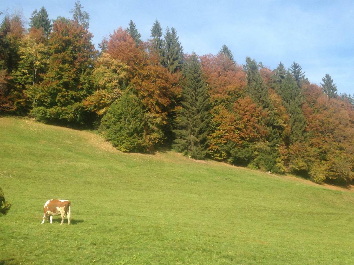App. Seeblick Top Of Interlaken Beatenberg Dış mekan fotoğraf