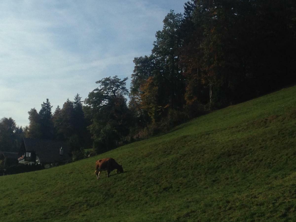 App. Seeblick Top Of Interlaken Beatenberg Dış mekan fotoğraf