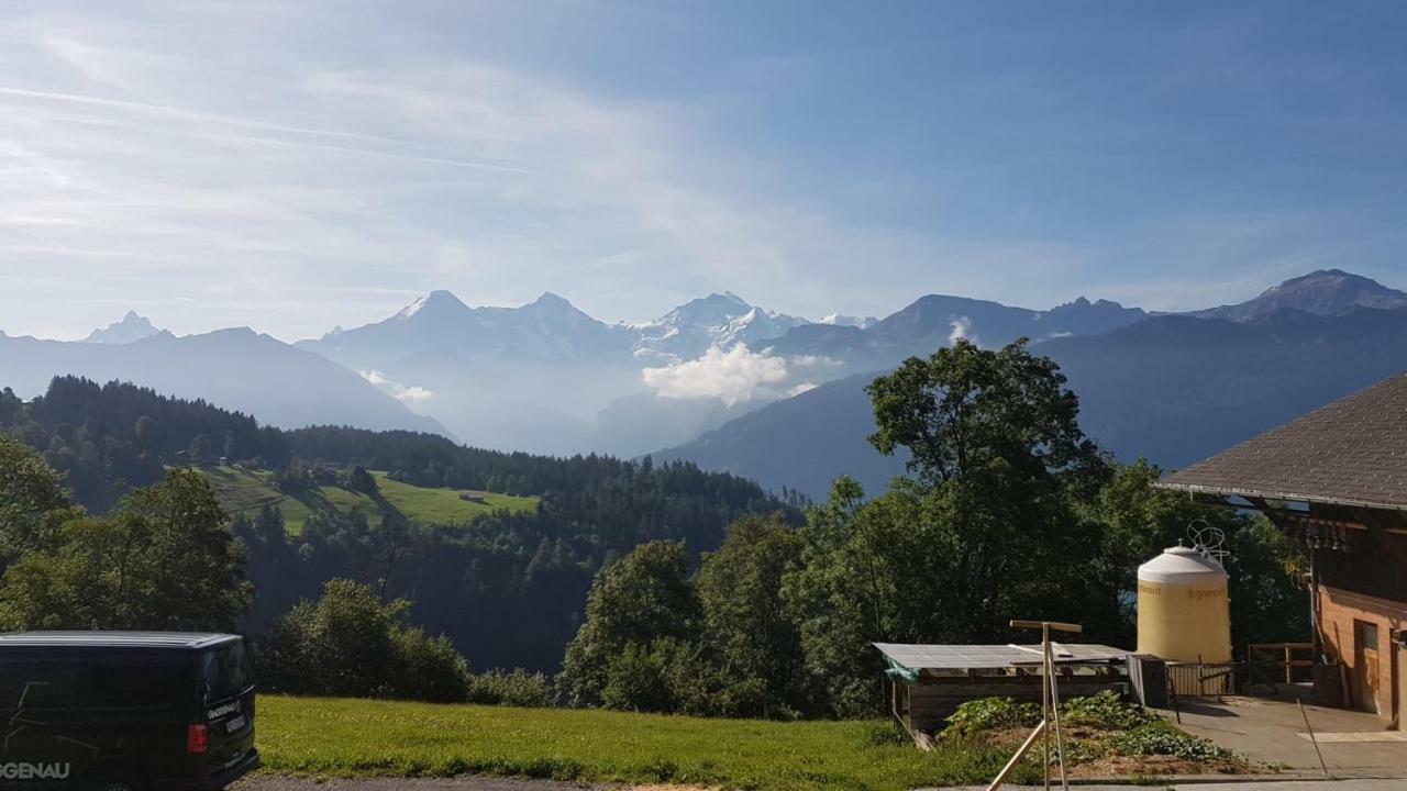 App. Seeblick Top Of Interlaken Beatenberg Dış mekan fotoğraf